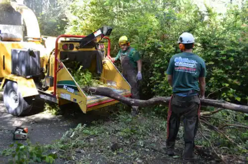 tree services Poseyville